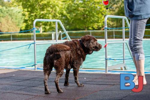 Hundeschwimmen im Wellenfreibad Suedfeldmark