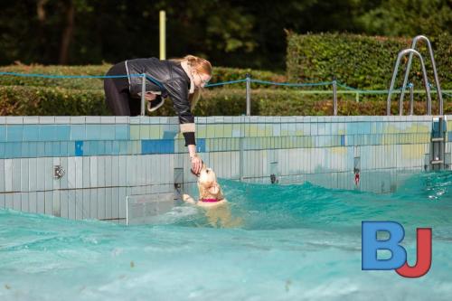 Hundeschwimmen im Wellenfreibad Suedfeldmark