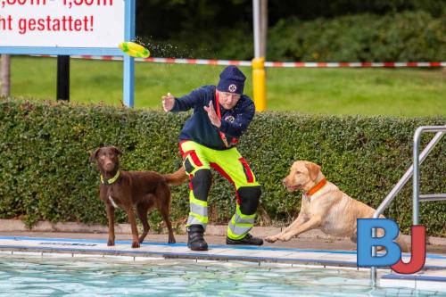 Hundeschwimmen im Wellenfreibad Suedfeldmark