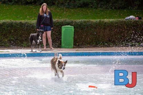 Hundeschwimmen im Wellenfreibad Suedfeldmark