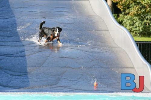 Hundeschwimmen im Wellenfreibad Suedfeldmark